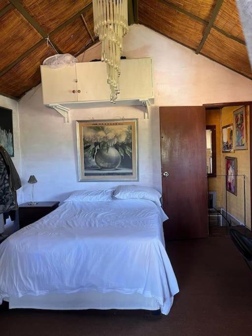 Villa Casa Marys En El Tesoro De La Barra à Punta del Este Extérieur photo